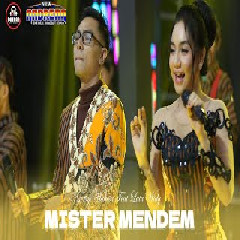 Lala Widy - Mister Mendem feat Gerry Mahesa (New  Andrena)