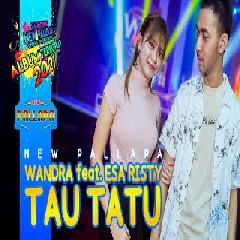 Download Lagu Esa Risty - Tau Tatu feat Wandra New Pallapa Terbaru