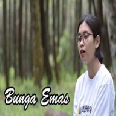Download Lagu Elma - Bunga Emas Saleem Iklim Terbaru