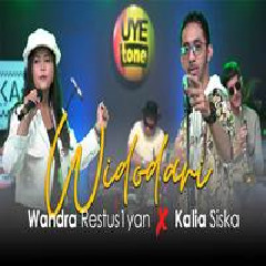 Download Lagu Wandra - Widodari Feat Kalia Siska Terbaru