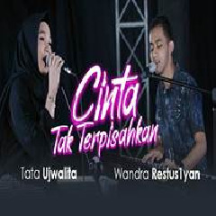 Download Lagu Wandra - Cinta Tak Terpisahkan Ft Tata Ujwalita Terbaru