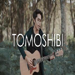 Tereza - Tomoshibi