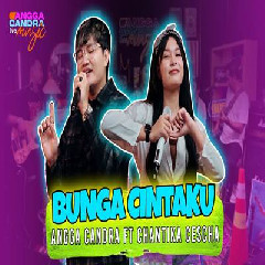 Download Lagu Angga Candra - Bunga Cintaku Ft Chantika Cescha Terbaru