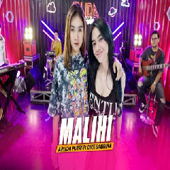 Download Lagu Arlida Putri - Malihi Ft Dike Sabrina Terbaru