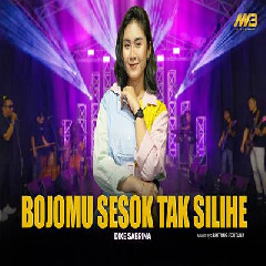 Dike Sabrina - Bojomu Sesok Tak Silihe Feat Bintang Fortuna