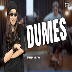 Download Lagu Sallsa Bintan - Dumes Ft 3 Pemuda Berbahaya Terbaru