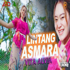 Vita Alvia - Lintang Asmoro Remix Version