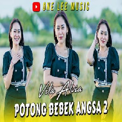 Vita Alvia - Potong Bebek Angsa 2 Dj Remix