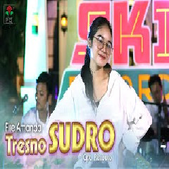Download Lagu Fire Amanda - Tresno Sudro Terbaru