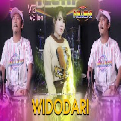 Via Vallen - Widodari feat New Pallapa