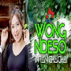 Intan Chacha - Wong Ndeso