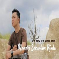 Download Lagu Harry Parintang - Memori Sekuntum Rindu Spoon Terbaru