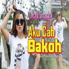 Download Lagu Intan Chacha - Aku Cah Bakoh Terbaru