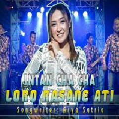 Download Lagu Intan Chacha - Loro Rasane Ati Terbaru