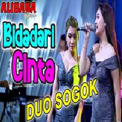 Download Lagu Duo Sogok - Bidadari Cinta Terbaru