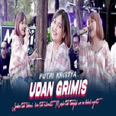 Download Lagu Putri Kristya - Udan Grimis Terbaru