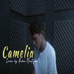 Download Lagu Andre Mastijan - Camelia Irwansyah Terbaru