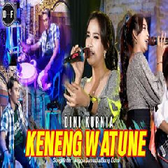 Download Lagu Dini Kurnia - Keneng Watune Ft Sunan Kendang Terbaru