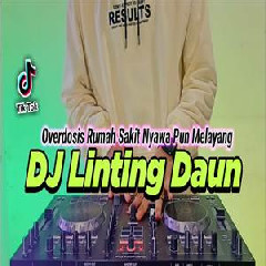 Download Lagu Dj Didit - Dj Linting Daun Overdosis Rumah Sakit Nyawapun Melayang Viral Tiktok Terbaru