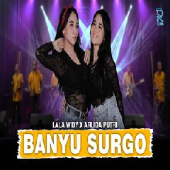 Lala Widy & Arlida Putri - Banyu Surgo Ft New Arista