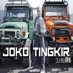 Download Lagu Bebiraira - Dj Tiktok Joko Tingkir Versi Sholawat Terbaru