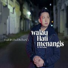 Download Lagu Harry Parintang - Walau Hati Menangis Pance Pondaag Terbaru