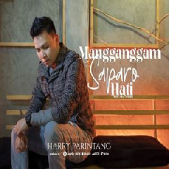 Download Lagu Harry Parintang - Mangganggam Saparo Hati Terbaru
