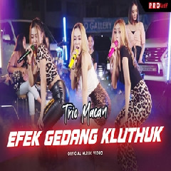 Trio Macan - Efek Gedang Kluthuk