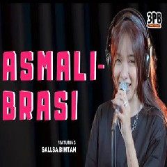 Download Lagu Sallsa Bintan - Asmalibrasi Ft 3 Pemuda Berbahaya Terbaru