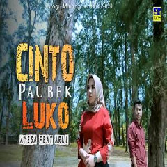 Download Lagu Ayesa - Cinto Paubek Luko Feat Arul Terbaru