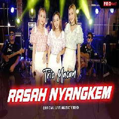 Download Lagu Trio Macan - Rasah Nyangkem Terbaru