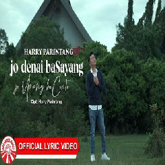 Download Lagu Harry Parintang - Jo Denai Basayang Jo Urang Bacinto Terbaru