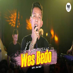 Download Lagu Mamnun - Wes Bedo (Saiki We Angel Dihubungi) Terbaru