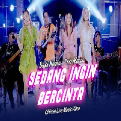 Download Lagu Bajol Ndanu X Trio Macan - Sedang Ingin Bercinta Terbaru