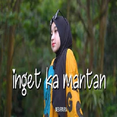 Download Lagu Bebiraira - Dj Remix Inget Ka Mantan Terbaru