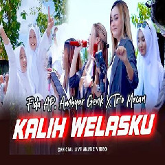 Download Lagu Fida AP, Ambyar Genk X Trio Macan - Kalih Welasku Terbaru