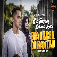 Download Lagu Sri Fayola - Bia Larek Di Rantau Ft Dhani Rilvi Terbaru