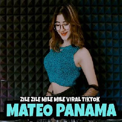 Download Lagu Dj Imut - Dj Zile Zile Mile Mile Remix Viral Tiktok 2023 Terbaru