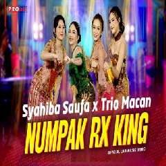 Syahiba Saufa X Trio Macan - Numpak RX King