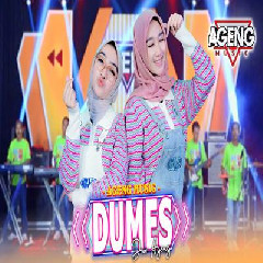 Duo Ageng - Dumes Ft Ageng Music