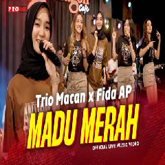 Download Lagu Trio Macan X Fida AP - Madu Merah Terbaru