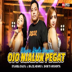Download Lagu Syahiba Saufa - Ojo Njaluk Pegat Ft Shinta Arsinta, Bajol Ndanu Dangdut Koplo Version Terbaru