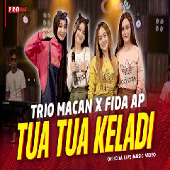 Download Lagu Trio Macan X Fida AP - Tua Tua Keladi Terbaru
