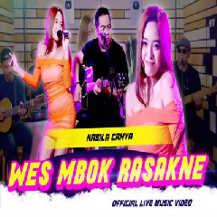 Download Lagu Nabila Cahya - Wes Mbok Rasakne Terbaru