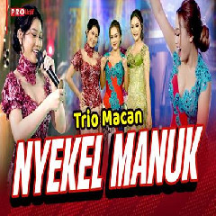 Trio Macan - Nyekel Manuk