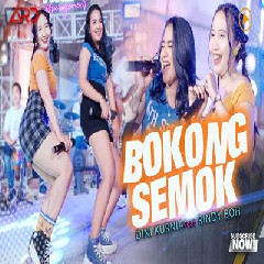 Download Lagu Dini Kurnia - Bokong Semok Ft Rindy BOH Terbaru