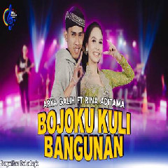 Download Lagu Rina Aditama - Bojoku Kuli Bangunan Feat Arya Galih Terbaru