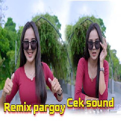 Dj Tanti - Remix Pargoy Worth It Paling Dicari Buat Cek Sound
