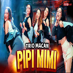 Download Lagu Trio Macan - Pipi Mimi Terbaru