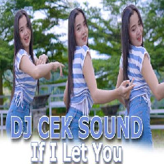 Download Lagu Dj Tanti - Dj Cek Sound If I Let You Bass Horeg Terbaru